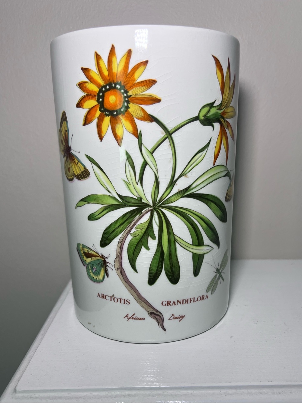 Vintage 1970s Portmeirion Botanic Garden African Daisy 8” Canister England
